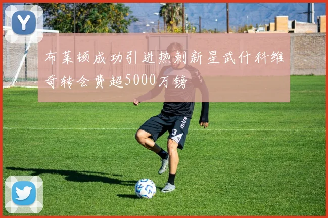 布莱顿成功引进热刺新星武什科维奇转会费超5000万镑
